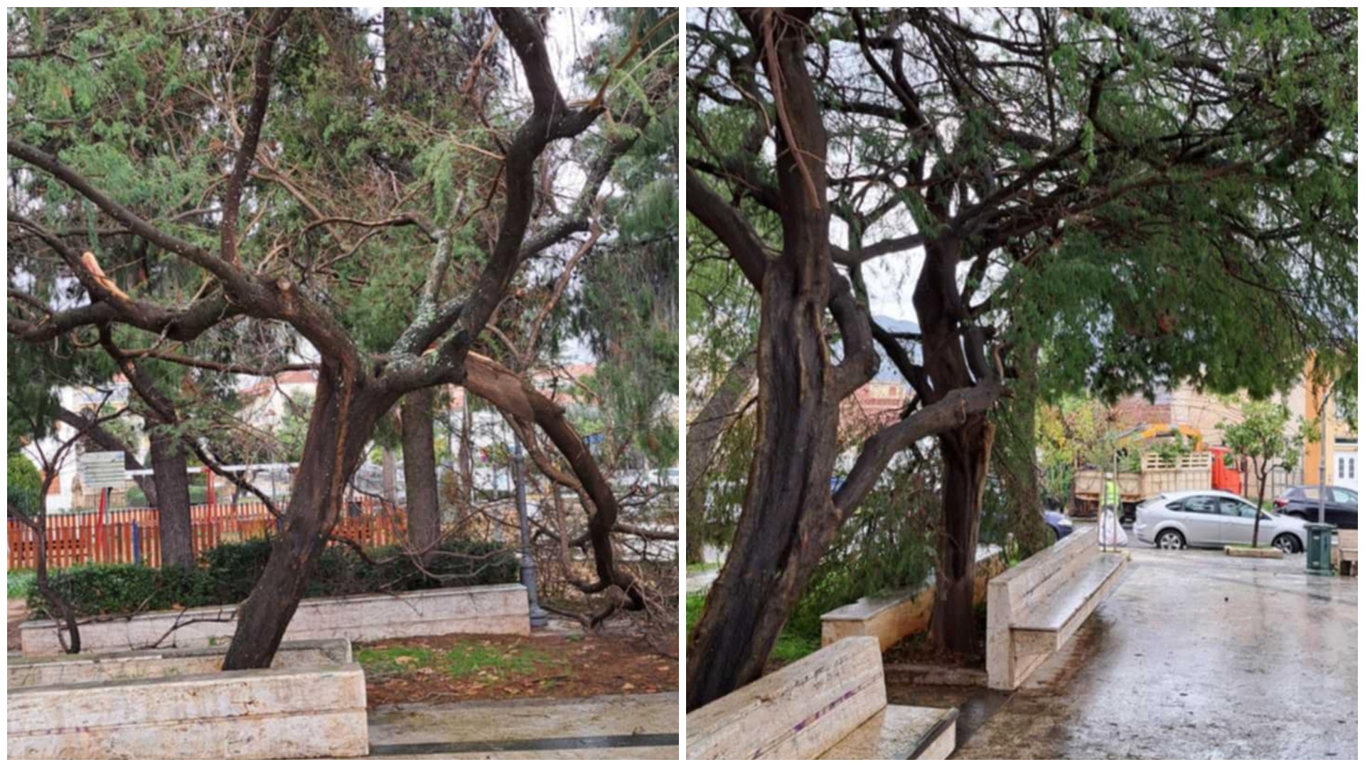 Φωτογραφία με δέντρα