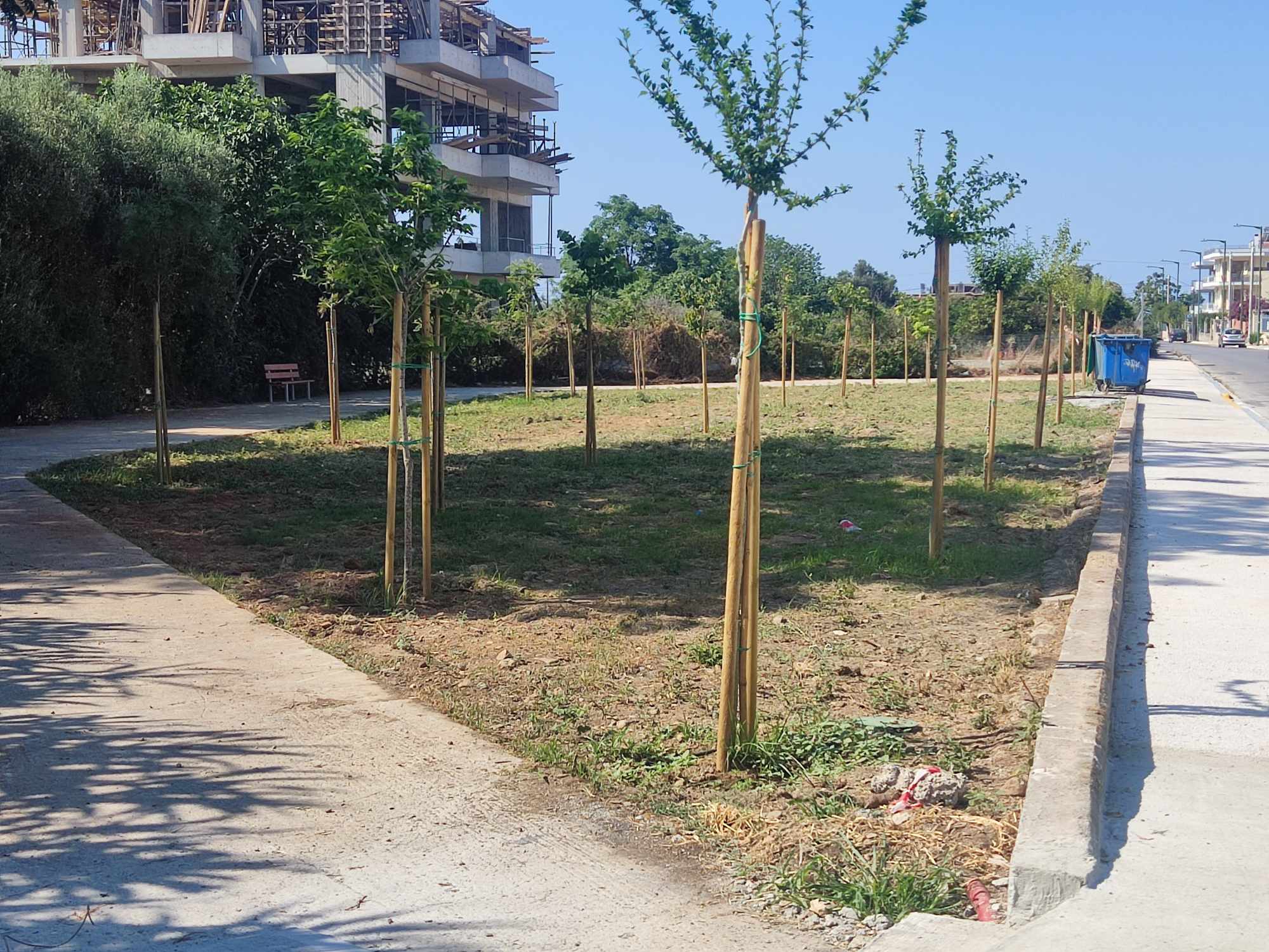 παρκοτσεπηςχρυσανθεμων2
