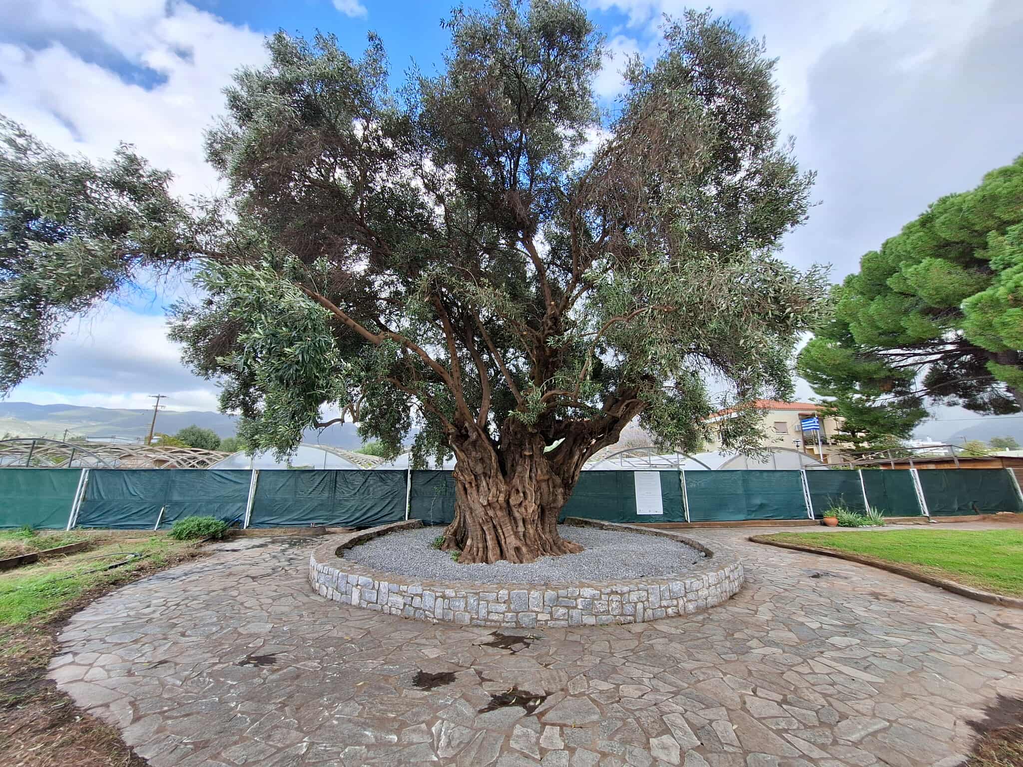 589273664 860696486422445 6884050784949537506 n