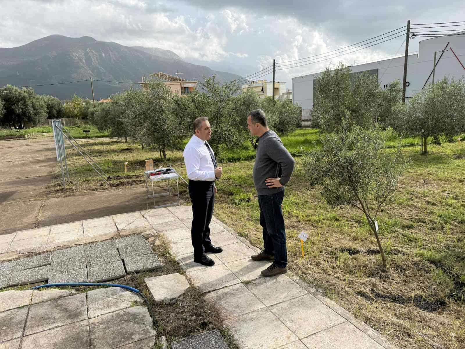 589485245 3312623062233777 5786689755417606979 n