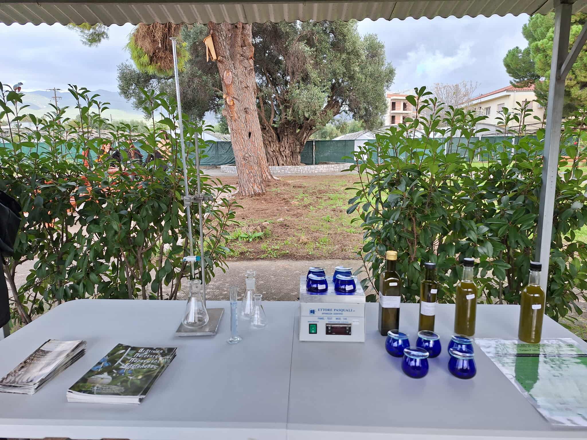 589546341 1141874258127203 4375724165641798194 n