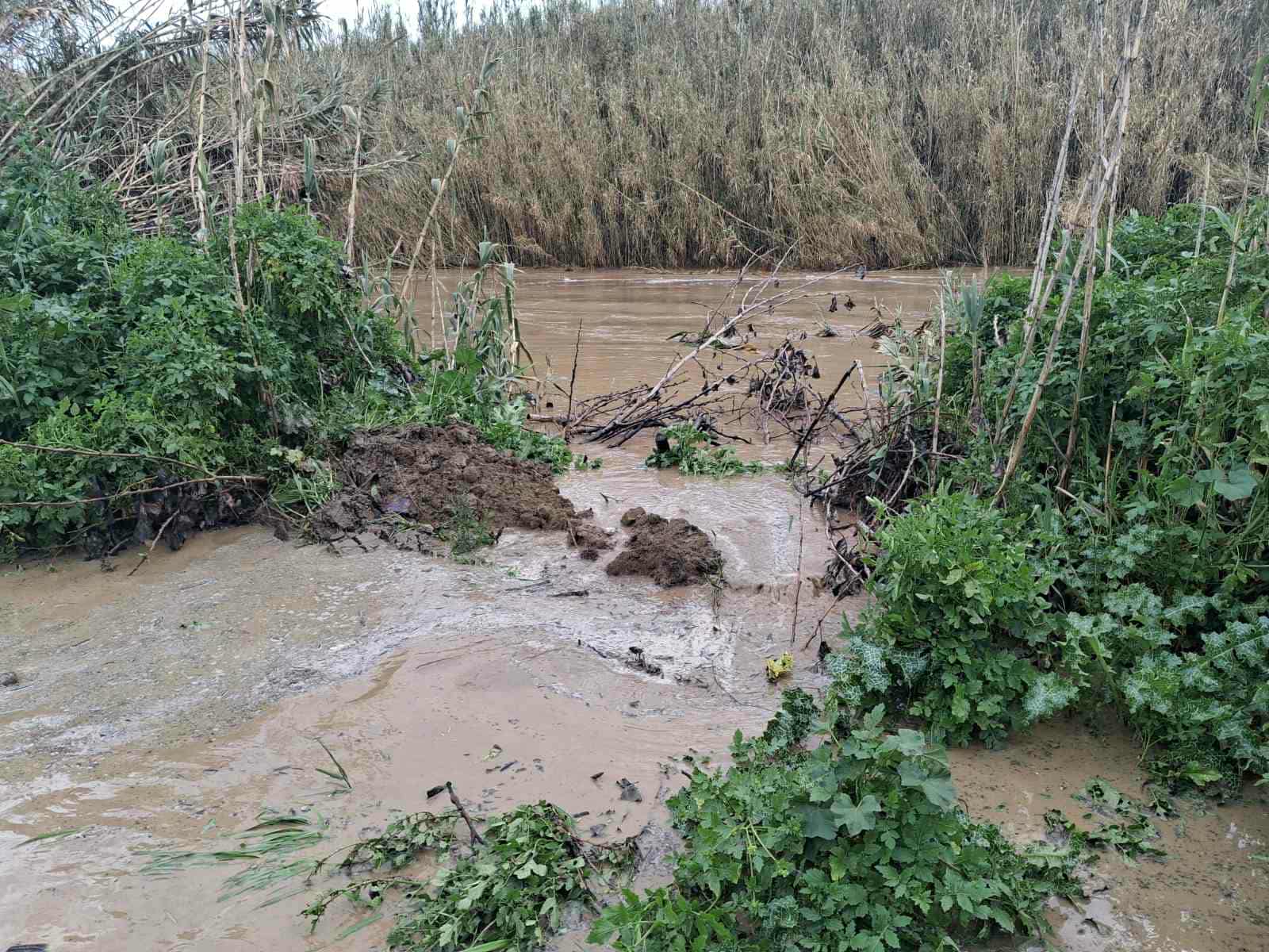 623447939 4154478878030770 4566422561378163706 n